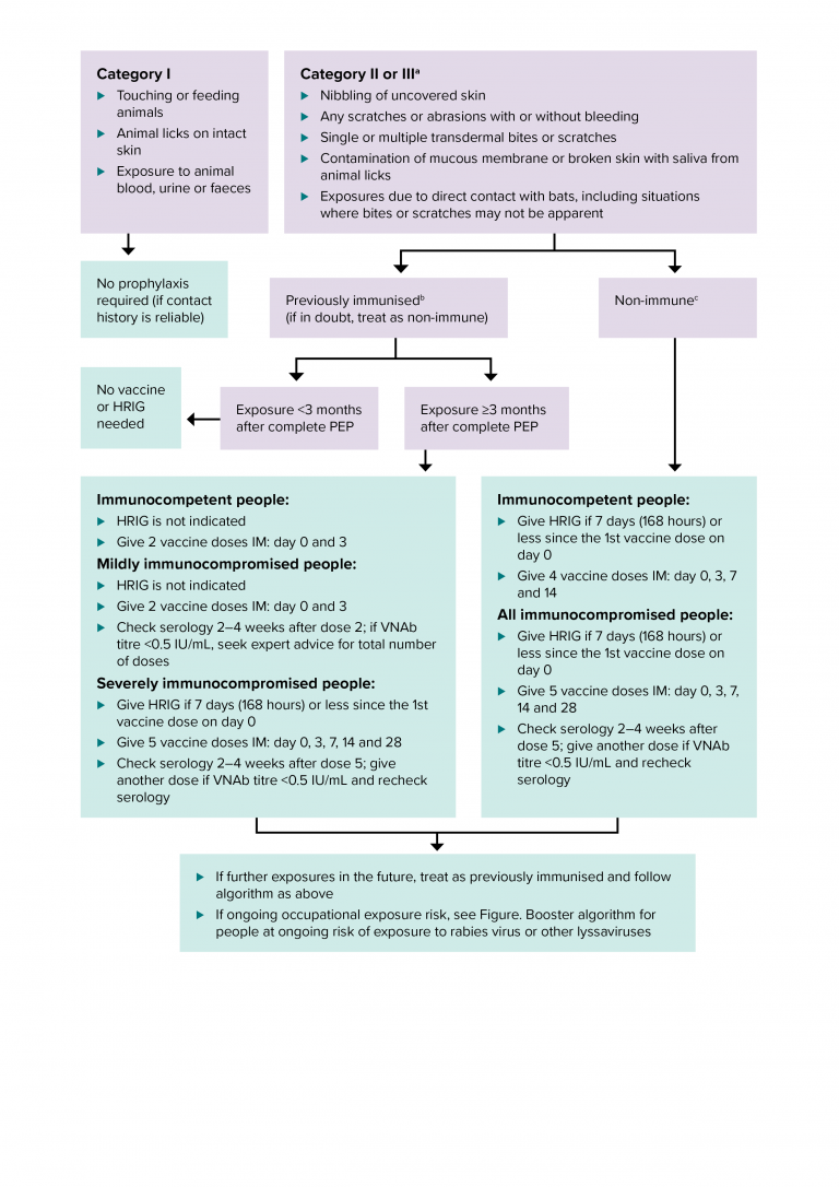 This algorithm gives guidance on post-exposure prophylaxis after potential exposure to lyssaviruses from bats in Australia or overseas.