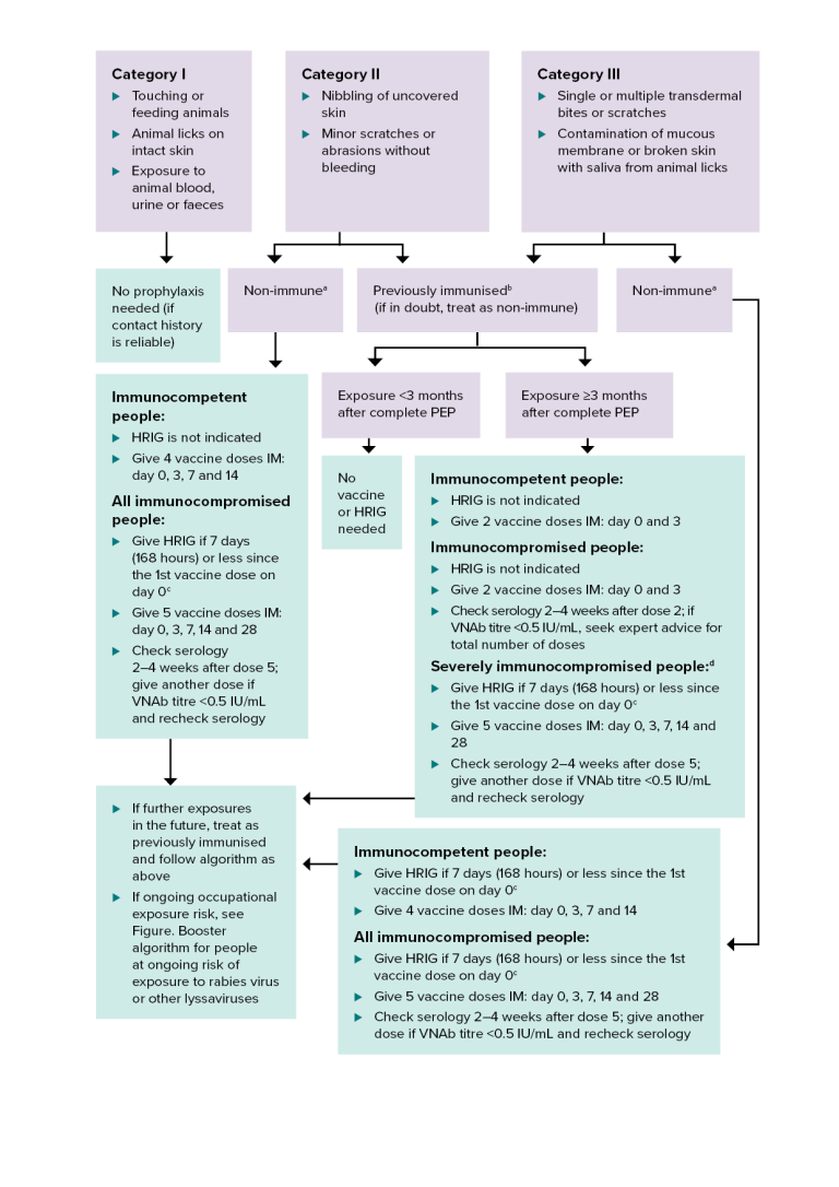 Figure. Rabies post-exposure prophylaxis terrestrial animal exposures